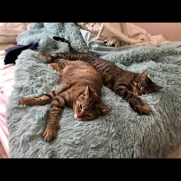 Meet your Posher, Emily - Picture 2 of 2